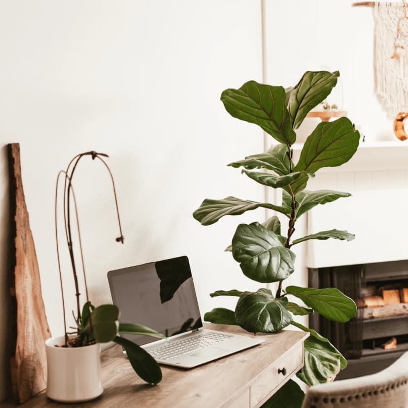 Stop Wasting Time: Pick the RIGHT Social Media Platforms